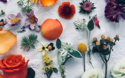 Cosmetice convenționale vs. cosmetice naturale și organice