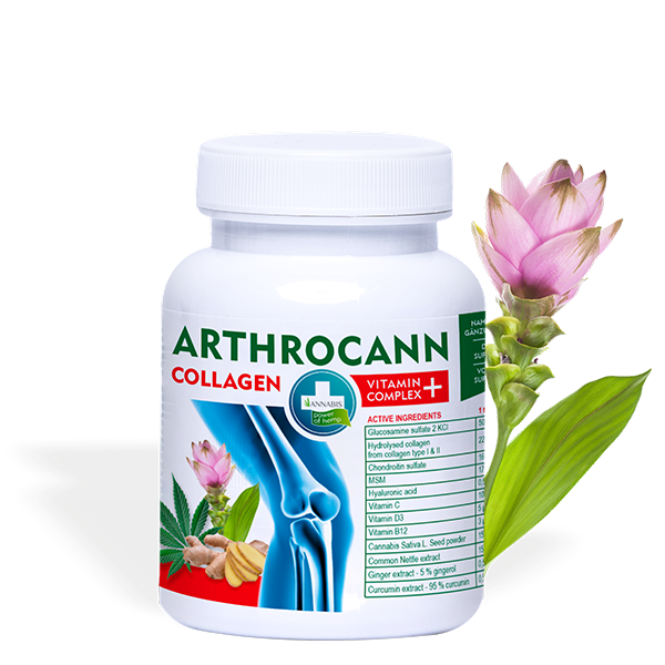 ARTHROCANN COLLAGEN